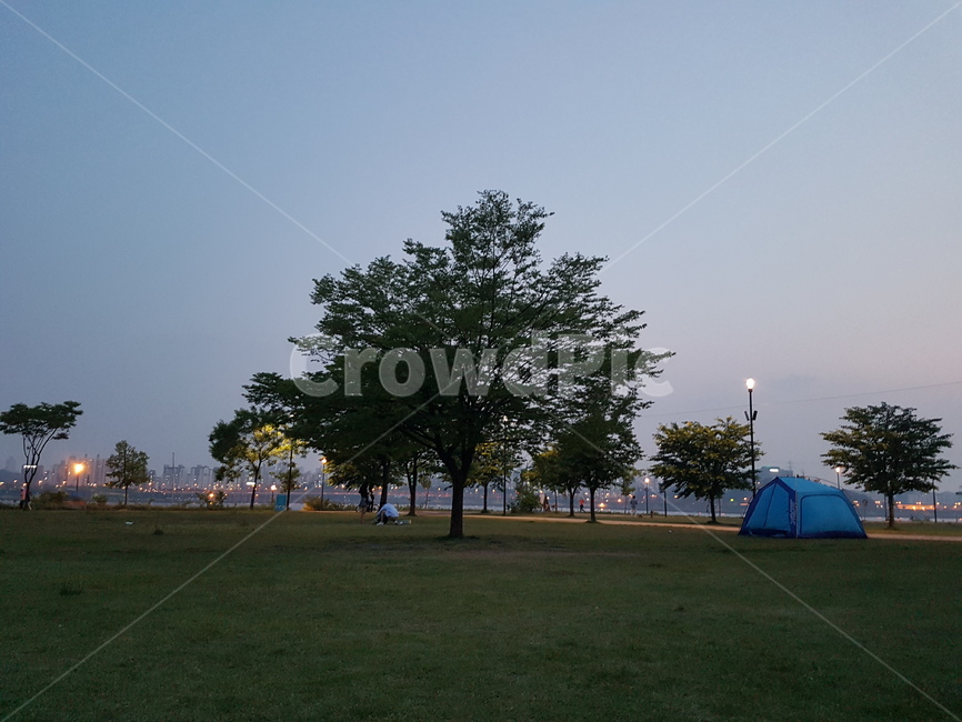 캠핑,저녁,잔디밭,나무,해질녘