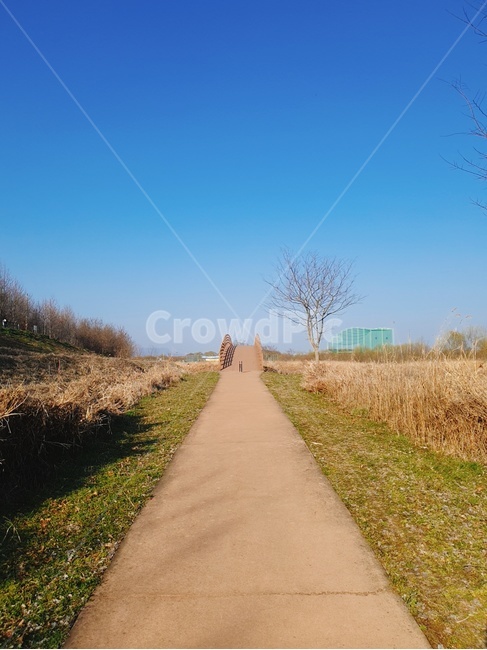 path,통로,길,한적,따뜻함,outdoors