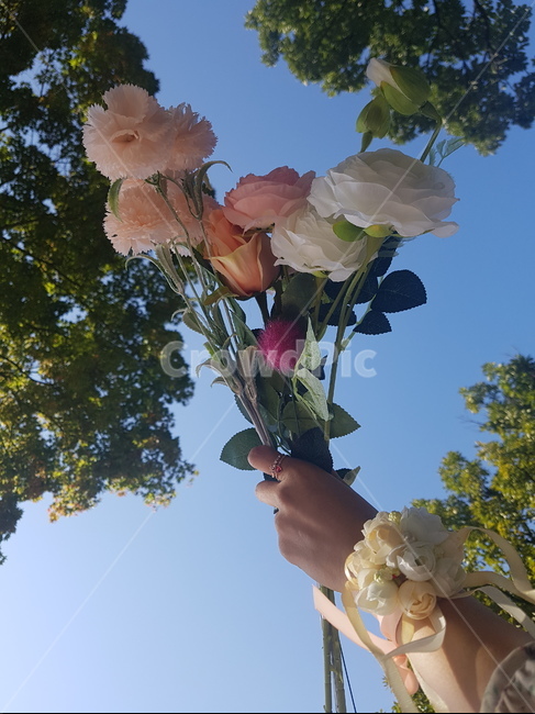 꽃,부케,꽃부케,flower,flowerbouquet,꽃꽂이,식물,blossom,식물,자연,plants,nature,꽃,flower
