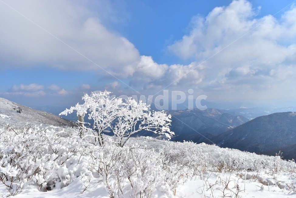 무등산,국립공원,풍경,힐링,산행,설경,상고대,서리꽃,서석대,입석대,안양산,백마능선,장불재,증심사,중봉,중머리재,천왕봉,지왕봉,Korea,National,Park,눈풍경,등산,주상절리,판타스틱,겨울왕국,겨울,지질공원,인왕봉,천지인,설국,2018년,1월,눈꽃,파란하늘,트레킹,winter,landscape,감성,아름다운,황홀한,장관,비경,선경,최고,사진,겨울,계절,winter,season,자연,풍경,nature,landscape,한국자연풍경,한국자연경관,korea nature landscape,ice,얼음,outdoors,옥외,mountain,산