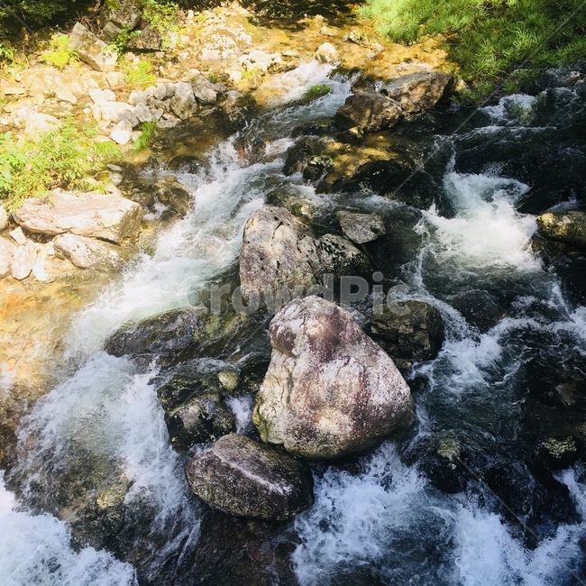 계곡,자연,맑은물,흐르는물,여름,자연,풍경,nature,landscape,water,물,outdoors,옥외,stream,흐름,creek,작은 만