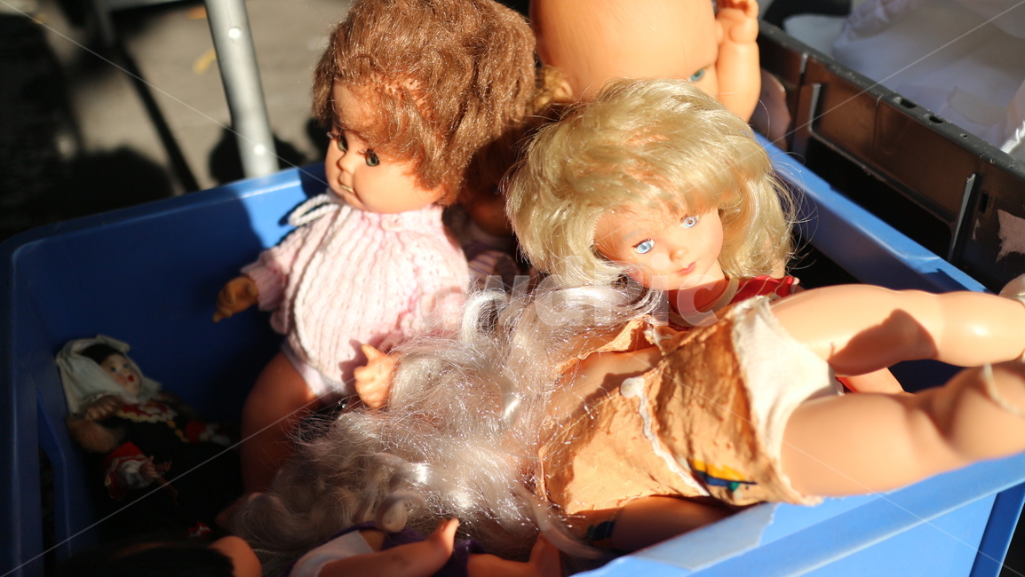 인형,사람,머리,서양,서양인형,외국인형,눈,아기,장난감,남겨진것들,doll,toy,빛,햇빛,상자,버려진것,머리카락,아기인형,벼룩시장,시장,마켓,중고시장