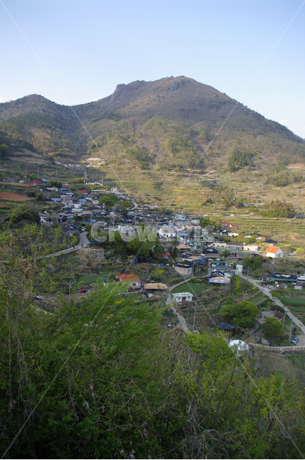 남해,가천마을,다랑이논,다랑이,풍경,나무,논,마을,시골,마을,풍경,landscape,country,rural,town