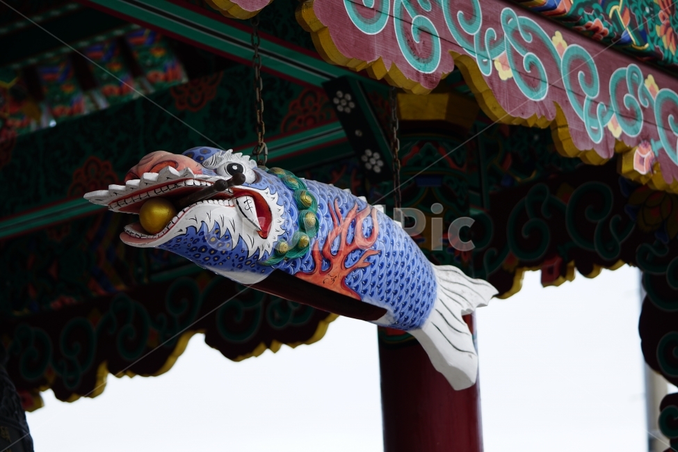 불교,buddhism,절,사찰,temple,부처,종교,buddha,한국,전통,문화,한국전통,한국문화,한국적인,코리아,korea,조각,목공,사물,오브젝트,object,상징,동물,전설,신화,믿음,religion,전설의동물,상상의동물,animal,건물,건축,목재,예술,art,풍경,landscape,스냅,스냅샷,snap,snapshot,잉어,붕어,물고기,fish,문양,무늬,한옥,지붕,토속,토템,신앙,미술,전통미술,공예,목공예,단청,한국전통,한국문화,korean traditional,korean culture,조각상,동상,석상,조형물,statue,bronze statue,stone statue