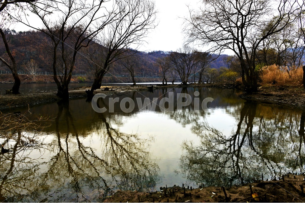 충북,대청댐,로하스길,대청호로하스길,반영,water,outdoors,옥외,nature,자연,물,plant,식물,tree,나무
