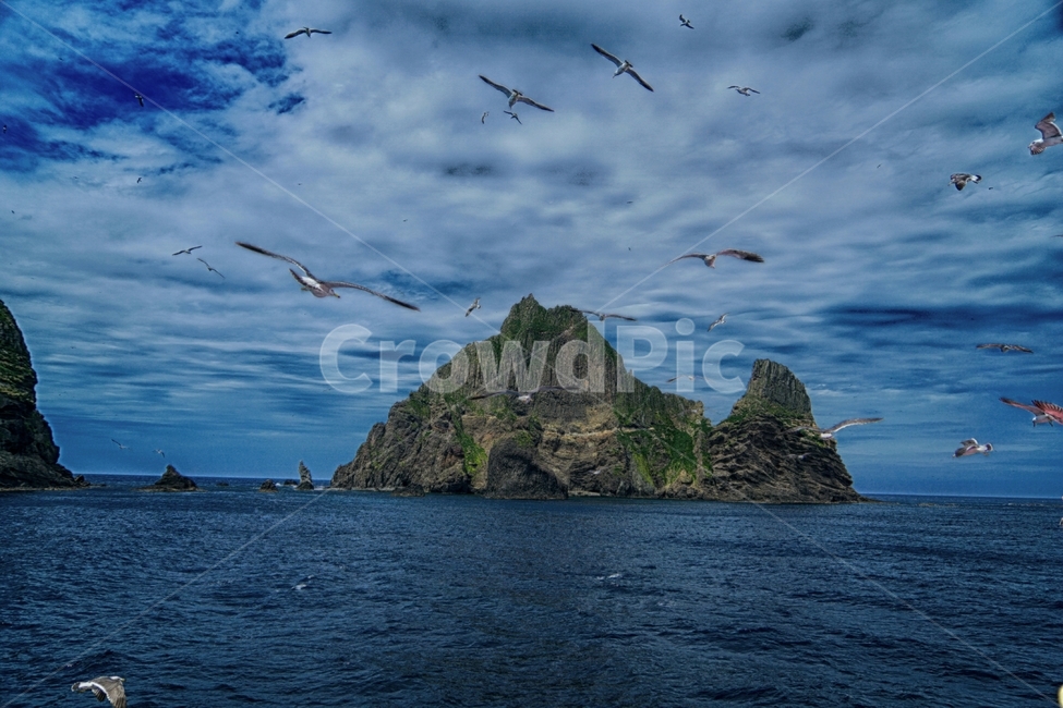 섬,독도,바다,울릉도,대한민국,갈매기,하늘,자연,풍경,nature,landscape,한국자연풍경,한국자연경관,korea nature landscape,동물,animal,조류,새,birds,outdoors,옥외,land,땅,water,물,sea,ocean,대양,shoreline,해안선,coast,연안,island,bird