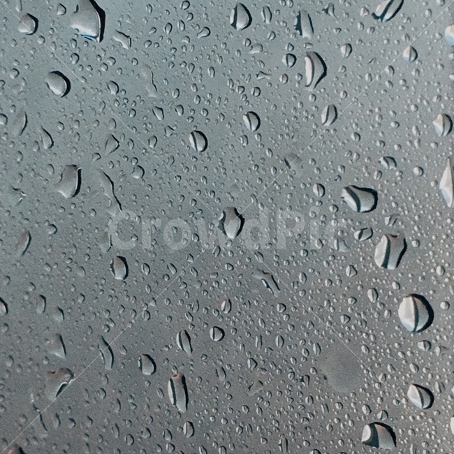 비,창문,감성사진,감성,필름사진,비,비오는날,rain,rainy,감성,sensible,feeling