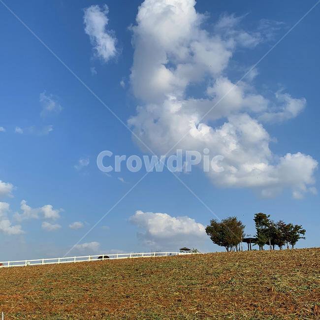 자연,nature,weather,날씨,sky,하늘,들판,들,초원,나무,풍경