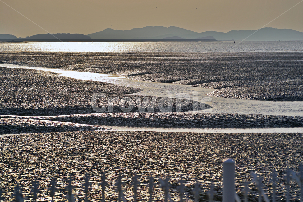갯벌,갯골,뻘,썰물,영종도,아라뱃길,인천,정서진,서해,바다