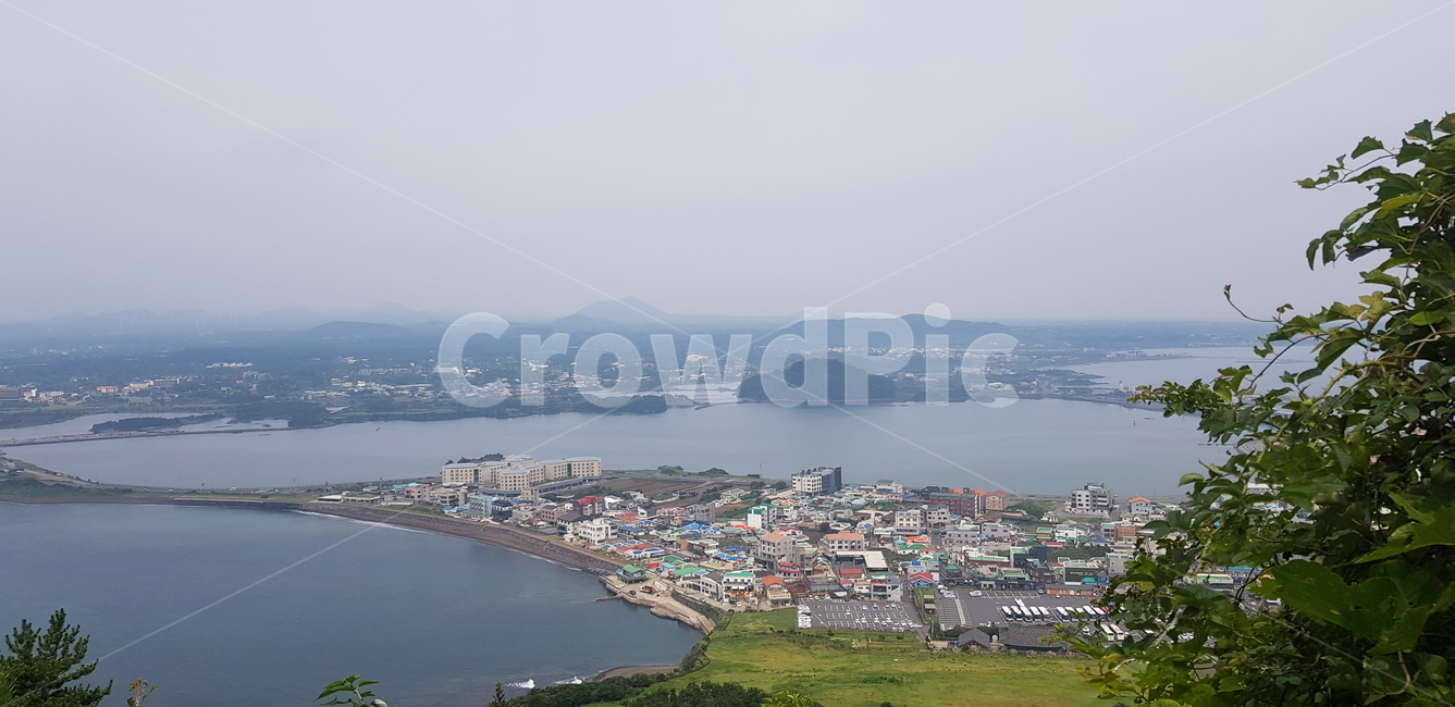 조감도,바다,풍경,성산일출봉,식물