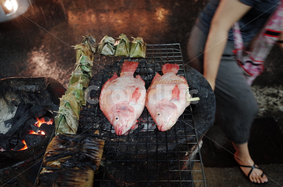 food,바베큐,bbq,음식,fish