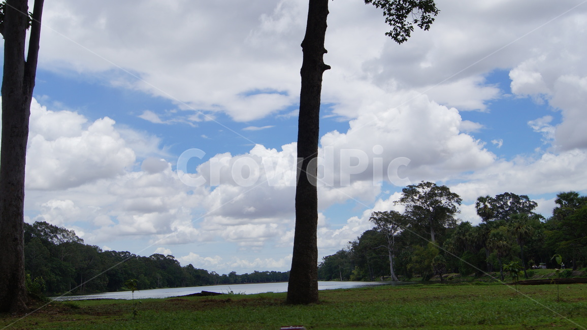 trees,tree,forest,cambodia,sky,blue,cloud,road,park,garden,landscape,green,nature,sun,sunny,sunnyday,나무,하늘,공원,숲,캄보디아,풍경,자연,해