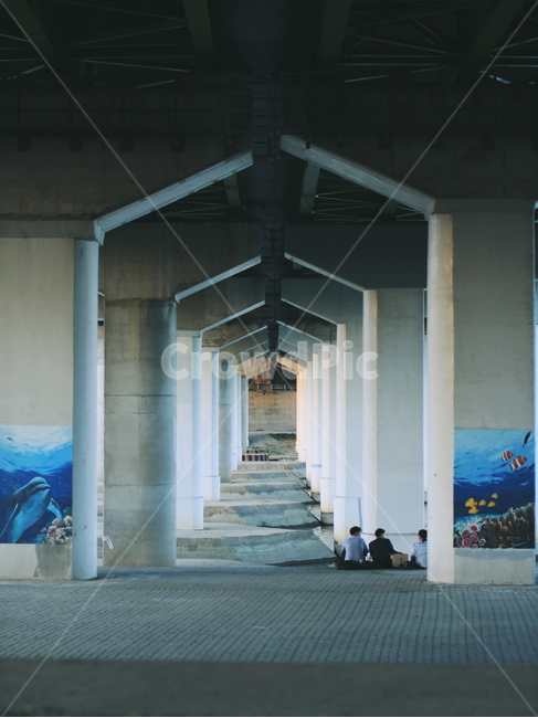 서울,한강,한강공원,친구,우정,다리밑,한강다리