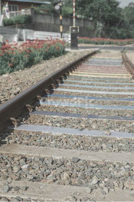 감성사진,꽃길,기찻길,무지개,그리움,교통,교통수단,traffic,transportation,rail,레일,train track,railway,철도