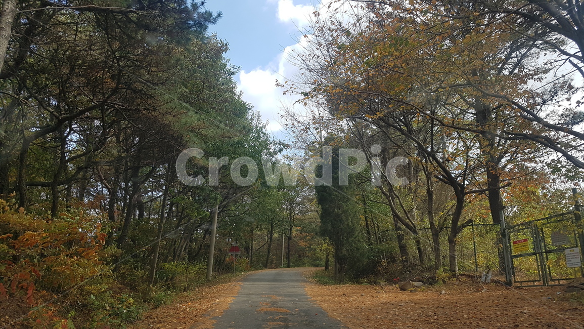 힐링,자연,휴식,산,나무,가을,구름,공기