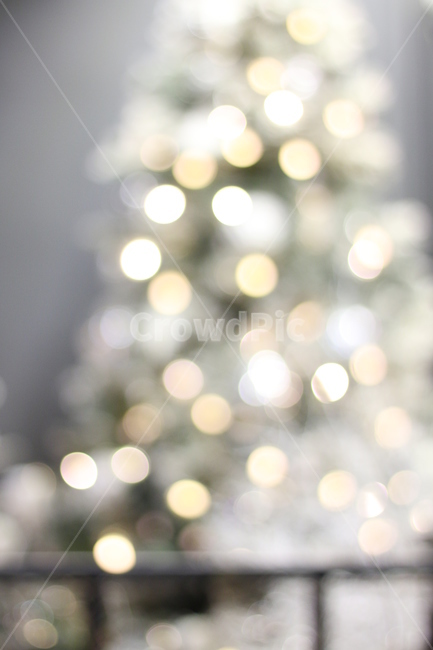 빛번짐,나무,트리,조명,겨울,메리크리스마스,성탄절,merry christmas