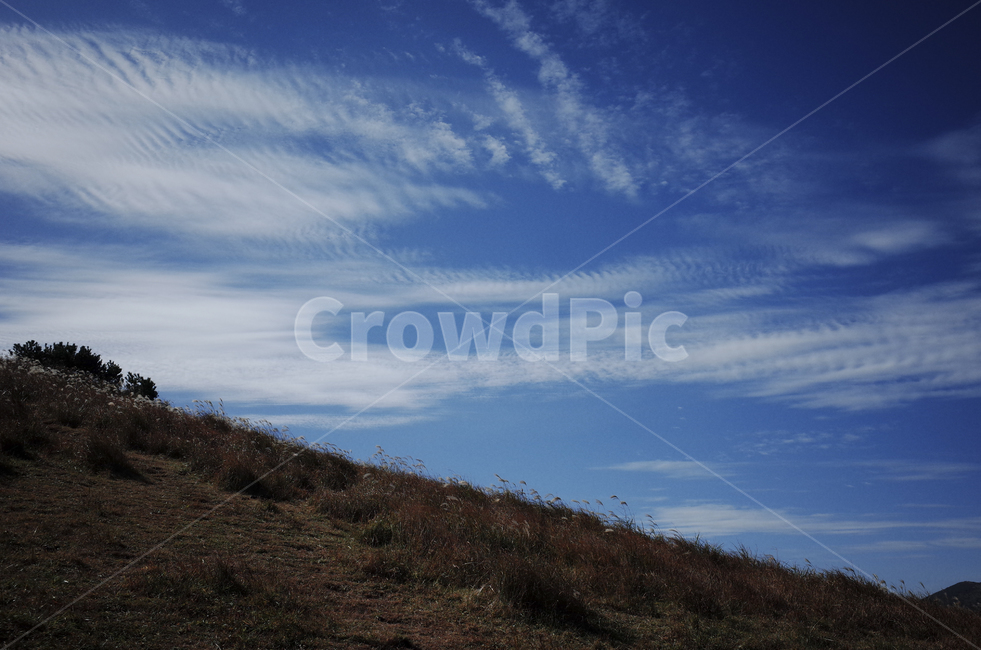 slope,경사,nature,자연,outdoors,옥외,언덕,hill,field,들,grassland,목초지,하늘,구름,sky,cloud,clouds,bluesky,푸른하늘,파란하늘
