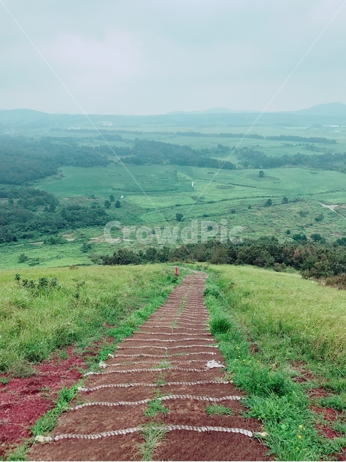 길,산,자연,오름,풀,들,잔디,전망,등산,자연,풍경,nature,landscape,outdoors,옥외
