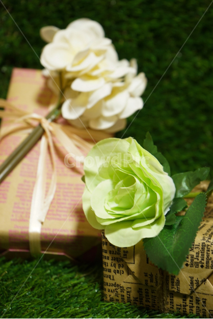 선물,선물상자,생일선물,꽃,gift,flower,인테리어,소품,빼빼로,기념일,축하,anniversary,congratulation,celebrate,celebration