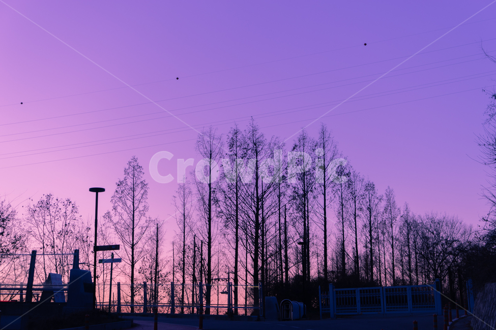 노을,풍경,하늘,일몰,해질녘,퍼플,landscape,sky,sunset,색감,파스텔색감,자연,풍경,nature,landscape,식물,plants,나무,trees,wood,실루엣,그림자,silhouette,shadow,색깔,색상,색채,색감,color sense,color sensitivity,feeling of color
