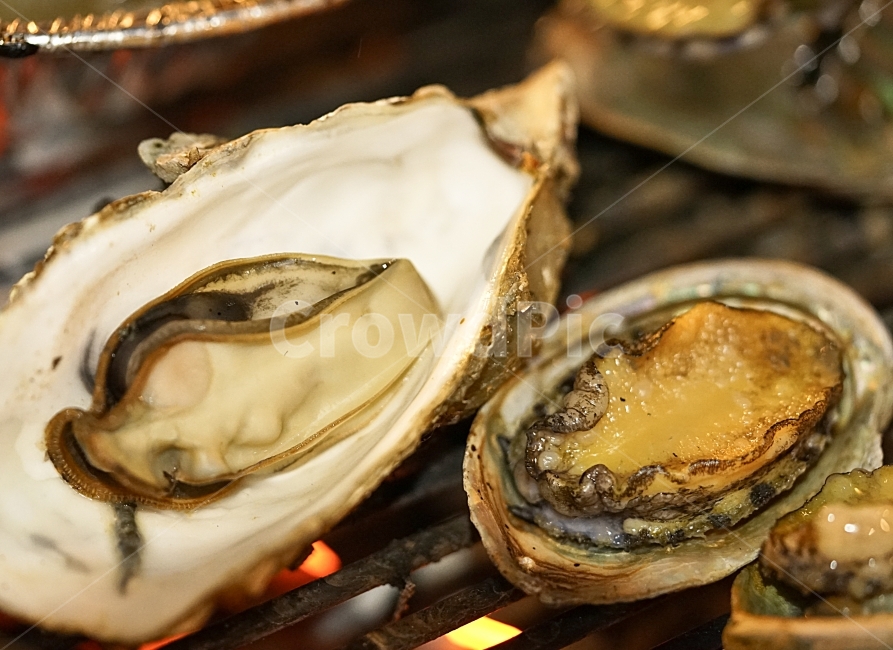 조개,안주,안주거리,술자리,음식,해물,먹방,해물구이,조개구이,구이,술안주,불판,식사,푸드,먹빵,음식사진,해산물,전복,굴,석화,음식,식재료,요리,food,cook,meal,dishes,food reserves,수산물,해산물,fishery products,seafood