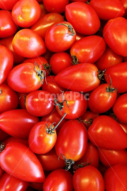방울토마토,토마토,과일,채소,뻘강,요리,추수,수확,먹거리,음식,가을,과일,열매,fruit