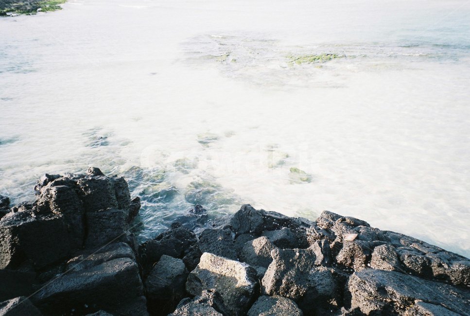 필름사진,빈티지,빛,바다,제주도,자연,풍경,nature,landscape,rock,록,rubble,파편