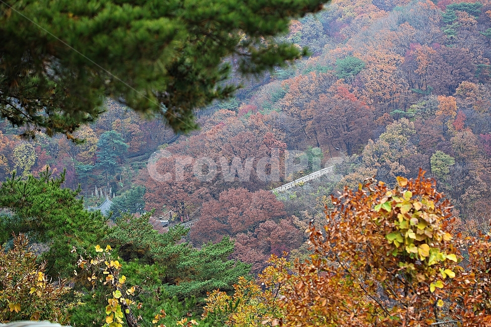 남한산성,성,성곽,단풍,낙엽,길,둘레길,숲,숲길,담,돌담,가을,자연,풍경,벽,울긋불긋,산성,식물,가을,계절,fall,autumn,season