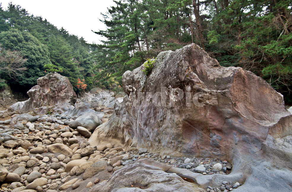 한천,오라올레,제주,기암괴석,트레일,바위,창곰소,판관소,자연,풍경,nature,landscape,제주도,jeju,jeju island,tree,나무,plant,식물,rubble,파편