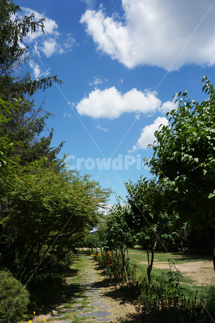 자연,하늘,나무,공원,여름,산책,구름,맑음,초록,파랑,green,sky,cloud,park,summer,natural,nature,숲,forest,tree,화창,날씨