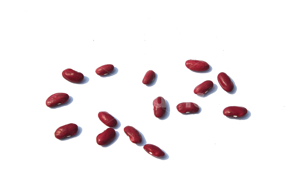 붉은콩,bean,콩,redbean,brown,closeup,dry,food,protein,red,seed,uncooked,vegetable,white,흰배경,야채,붉은색,빨강,말린,단백질,씨앗,요리재료,식재료,요리,음식,음식,식재료,요리,food,cook,meal,dishes,food reserves,콩류,견과류,beans,pulse,nuts,dry fruits,누끼,remove background
