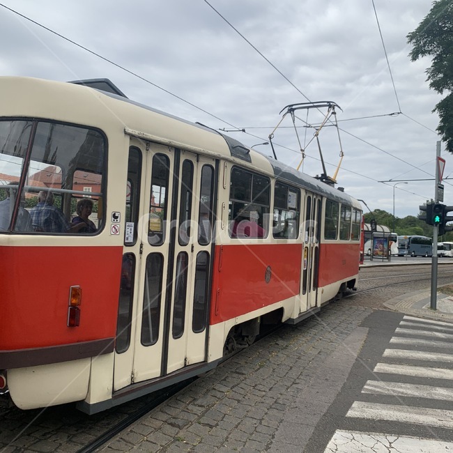 전철,프라하,길거리,차량,도로,prague