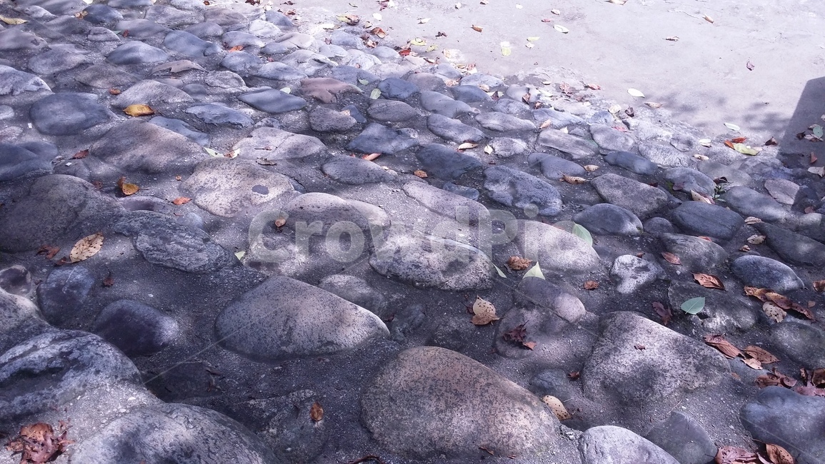 길,계단,낙엽,나뭇잎,햇빛,가을,계절,fall,autumn,season,rock,록