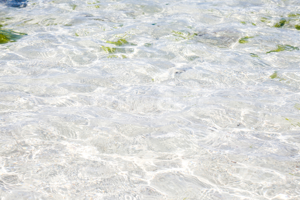 물,투명,자연,바다,lake,ocean,sea,water,blue,sky,summer
