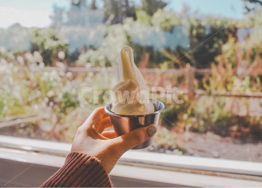 아이스크림,소프트아이스크림,우유,우유아이스크림,디저트,dessert,cream,food,음식,목장,제주도,음식,식재료,요리,food,cook,meal,dishes,food reserves,디저트,간식,후식,dessert,snack