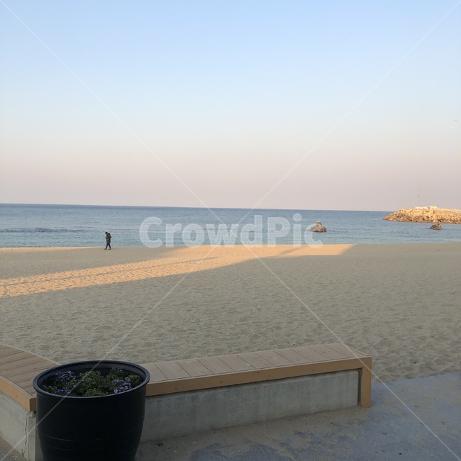 human,인간,person,사람,바다,해변,바다,beach,sea