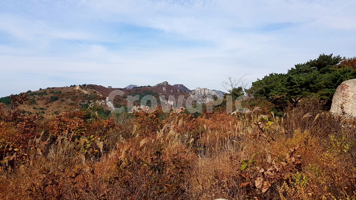 산,갈대,가을,억새,하늘,구름,나무,Mountain,Fall,Sky,Cloud,Reed,가을,계절,fall,autumn,season,자연,풍경,nature,landscape,한국자연풍경,한국자연경관,korea nature landscape,outdoors,옥외