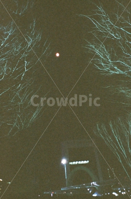 달,부산,밤,나무,필름사진,필름,아날로그,moon,film,filmcamera,busan,night,도시,풍경,city,landscape,야경,밤,nightscape,night,한국도시풍경,한국도시경관,korea cityscape