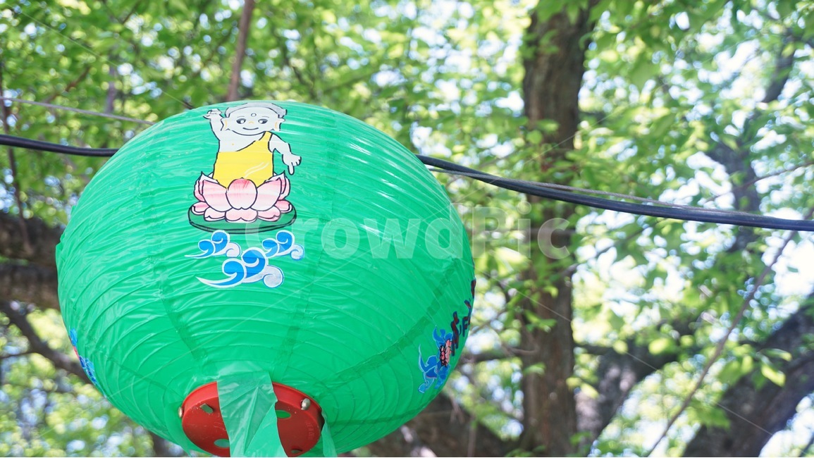 연등,절,경주,불국사,석가탄신일,한국,초록색,부처님,연등축제,lotus,부처님오신날,사찰,한국역사,통일신라,unifiedsilla,대한민국,korea,republicofkorea,buddhasbirthday,bulguksa,한국전통,한국문화,korean traditional,korean culture,종교,신앙,religion,belief,faith,축제,행사,festival,carnival,event,기념일,축하,anniversary,congratulation,celebrate,celebration