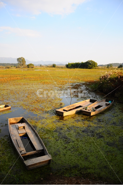우포늪,습지,자연,늪,우포,자연,풍경,nature,landscape,boat,보트,transportation,교통,canoe,카누,vehicle,차량,rowboat,노 젓는 배,watercraft,선박