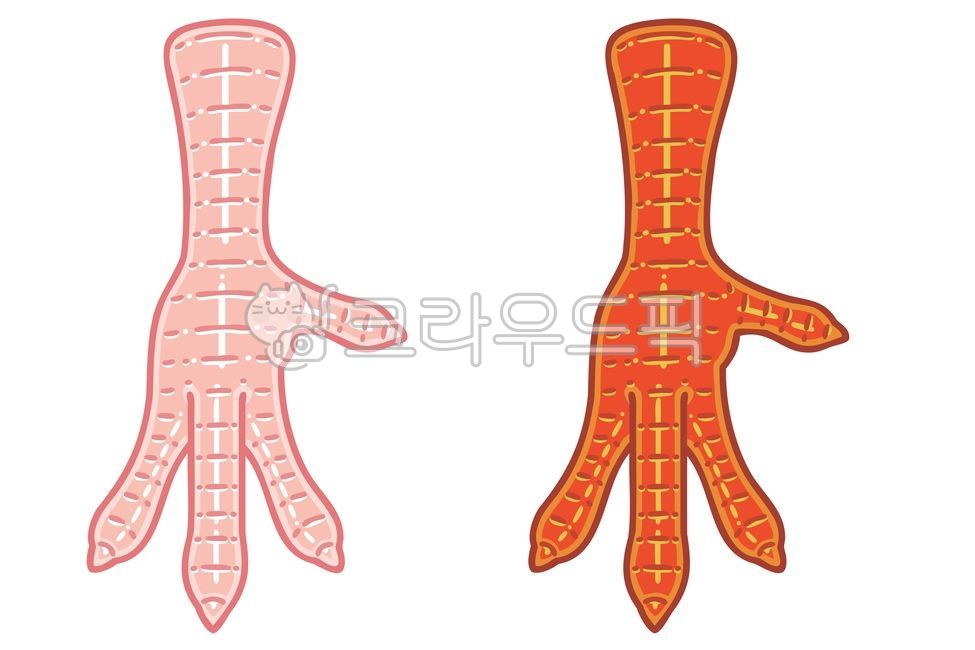 닭발,닭,발,치킨,일러스트,삽화,한국,음식,야식,메뉴,배달음식,동물,다리,식품,요리,요리용,새,흑백,발톱,쿡,조리,디자인,디자인요소,요리법,암탉,아이콘,컷아웃,라인아트,고기,생닭발,세트,벡터,아웃라인,윤곽선,뼈,한국음식,카툰