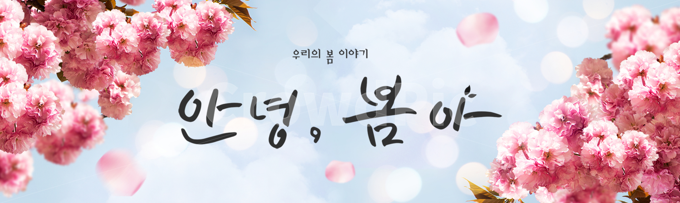 시즌,계절,봄,캘리그라피,캘리,손글씨,편집,배너,웹소스,소스,모바일,팝업,붓글씨,한글,꽃,배경,백그라운드,겹벚꽃,하늘,구름,봄,계절,spring,season,캘리그라피,손글씨,calligraphy