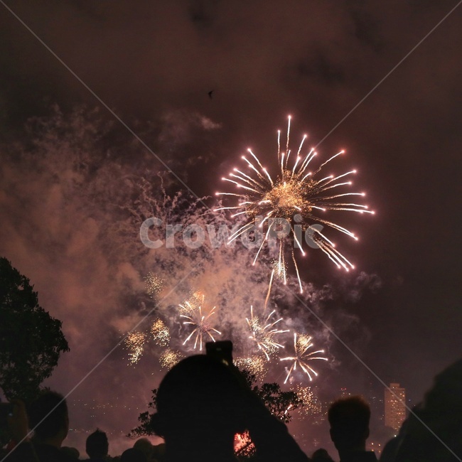 야외,불꽃축제,불꽃놀이,축제,야경,야경,밤,풍경,nightscape,night,landscape,nature,자연,outdoors,옥외