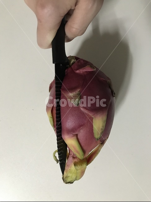 용과,과일자르는손,열대과일,과일자르는,용과자르는,음식,식재료,요리,food,cook,meal,dishes,food reserves,과일,열매,fruit
