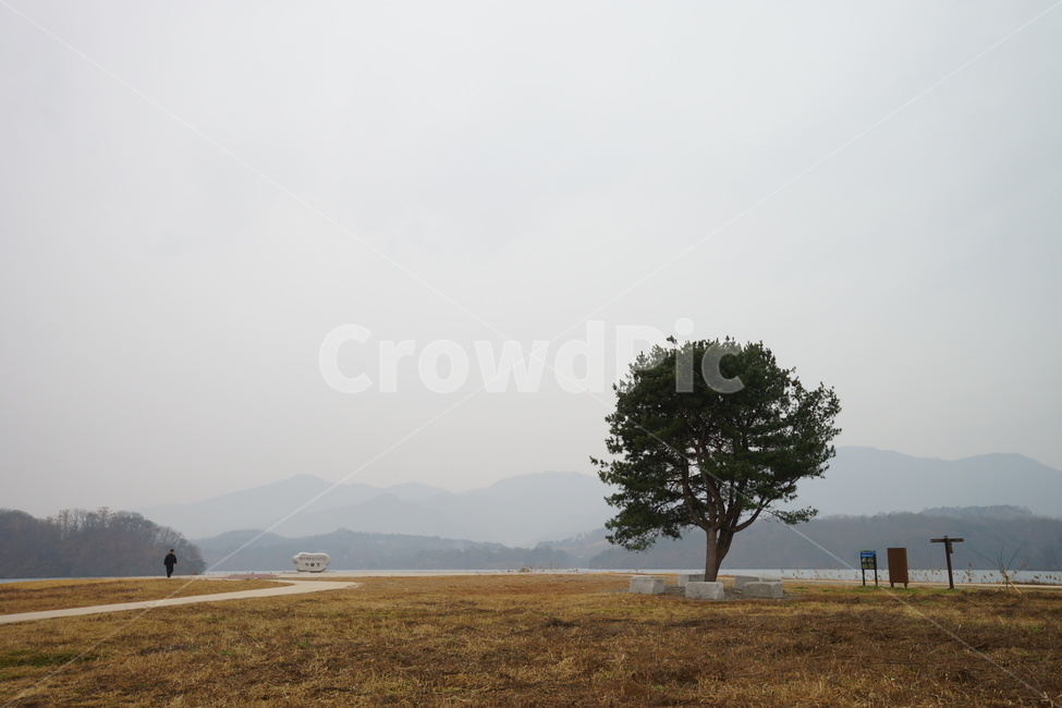 나무,가을,비,가을비,스산한,가을,계절,fall,autumn,season,자연,풍경,nature,landscape,한국자연풍경,한국자연경관,korea nature landscape,식물,plants,나무,trees,wood,plant,tree,person,사람,human,인간,tree trunk,나무 줄기