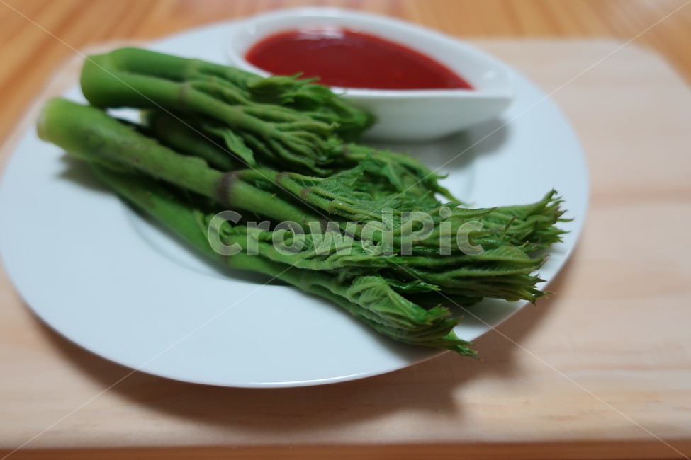 두릅,봄날,향긋함,초장,향