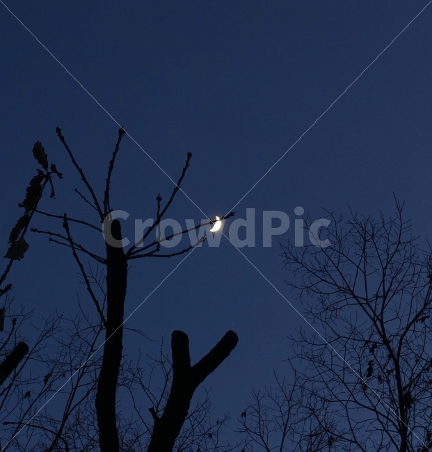 달,초승달,밤,night,moon,하늘,겨울,자연,풍경,nature,landscape,야경,밤,nightscape,night,outdoors,옥외,silhouette,실루엣
