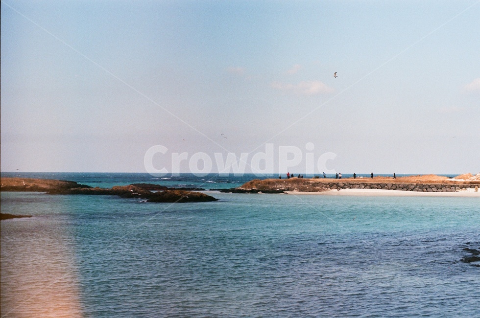 제주도,사려니숲길,jeju,나무,겨울,제주겨울,숲길,산책로,자연,풍경,nature,landscape