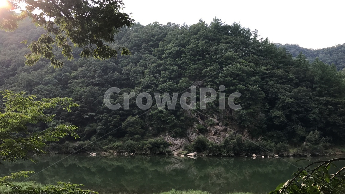 산속,식계,향산리,충주,경치