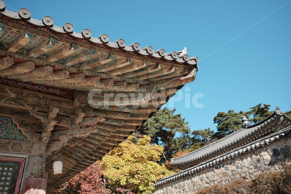 가을,사찰,절,단풍,가을하늘,한국전통,한국문화,korean traditional,korean culture,건축물,건물외관,exterior,building,structure,architecture,construction